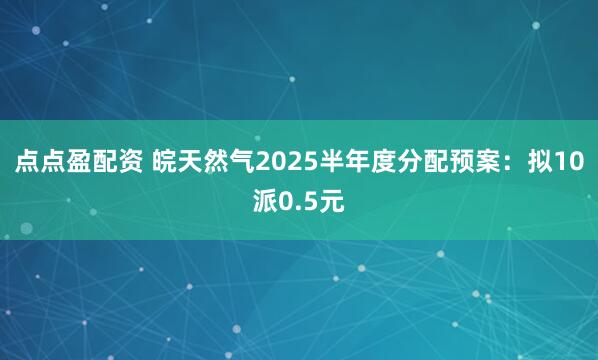 点点盈配资 皖天然气2025半年度分配预案：拟10派0.5元