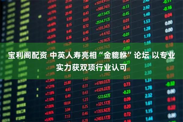 宝利阁配资 中英人寿亮相“金貔貅”论坛 以专业实力获双项行业认可