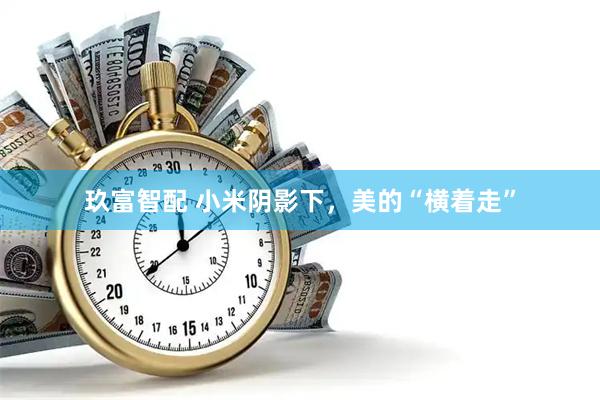 玖富智配 小米阴影下,美的“横着走”