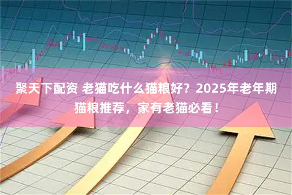 聚天下配资 老猫吃什么猫粮好？2025年老年期猫粮推荐，家有老猫必看！