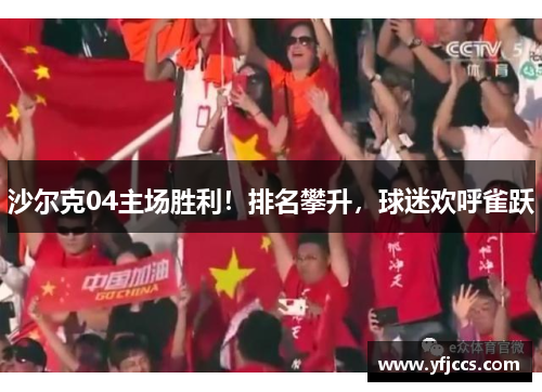 沙尔克04主场胜利！排名攀升，球迷欢呼雀跃