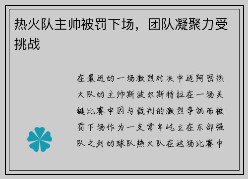热火队主帅被罚下场，团队凝聚力受挑战